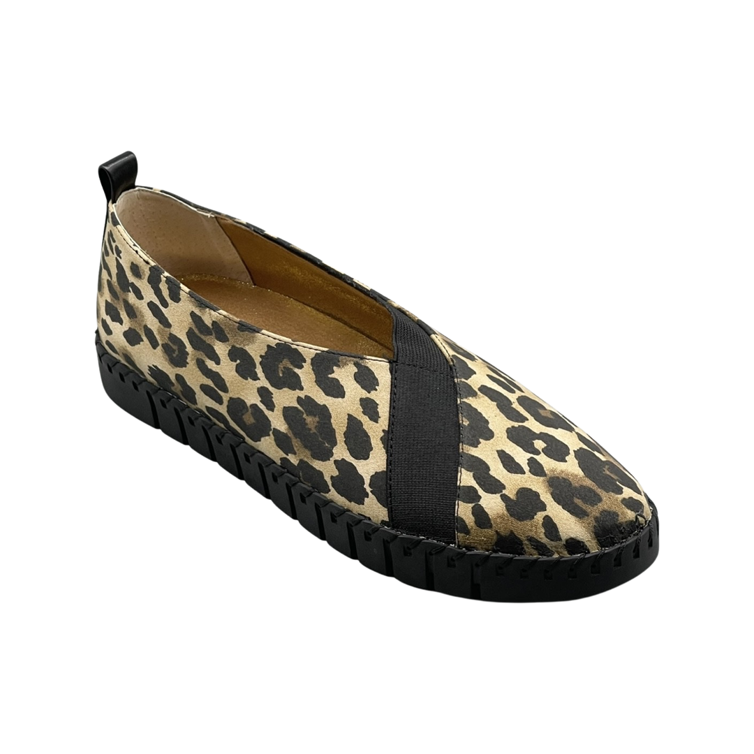 J renee sales leopard shoes