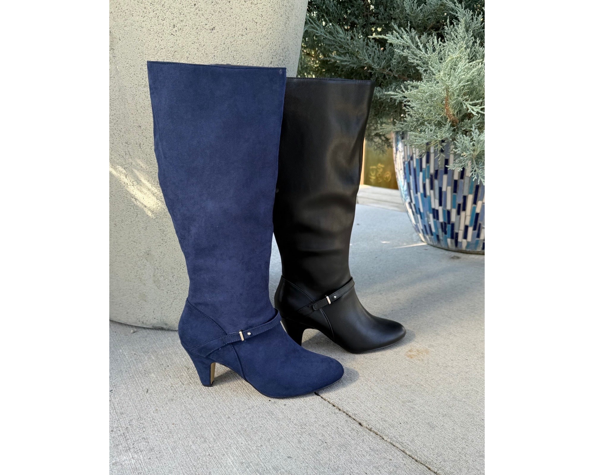 Bella Vita Sasha Tall Boot Collection